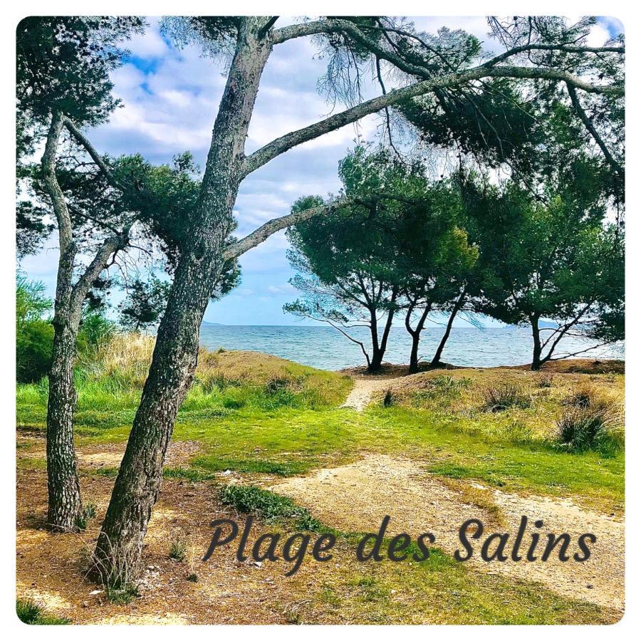 Studio Port D'Hyeres Vue Mer Et Iles De Porquerolles Et Port-Cros المظهر الخارجي الصورة